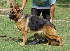farren de la fama