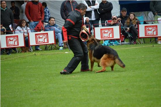 Laara en la prueba de defensa del sieger argentino