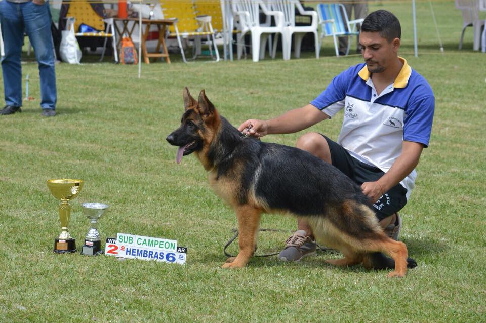 Cabeza de Lola de la Fama, Hija de Quoran D´ulmental Cabeza de Lola de la Fama, Hija de Quoran D´ulmental
