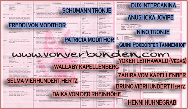 pedigree de joy vierhundert hertz