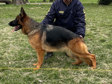 Nare von Verbunden, hija de King von Cabot Land y Omma von Verbunden