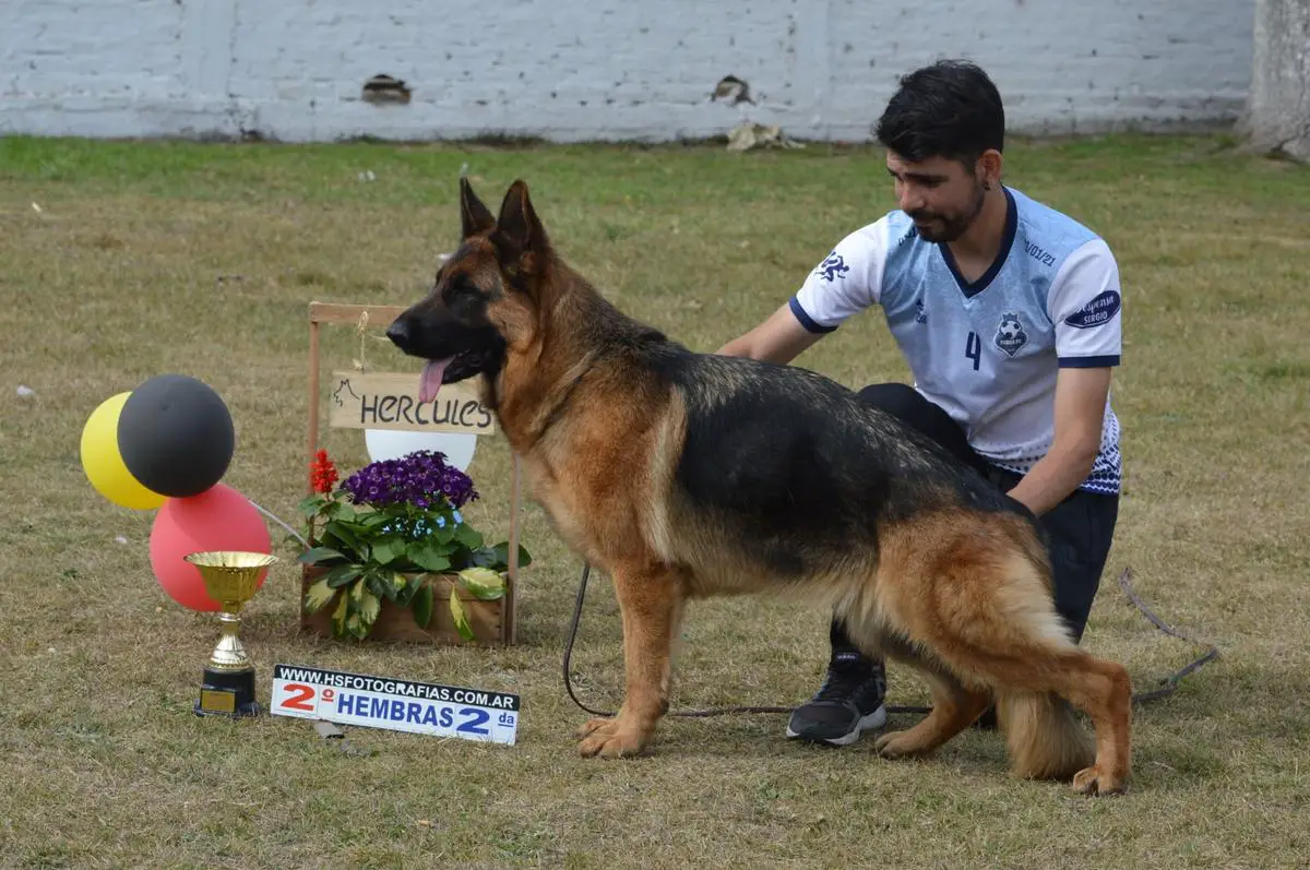 Xia von verbunden, hija de Harry Potter Aus Wattenscheid Xia von verbunden, hija de Harry Potter Aus Wattenscheid