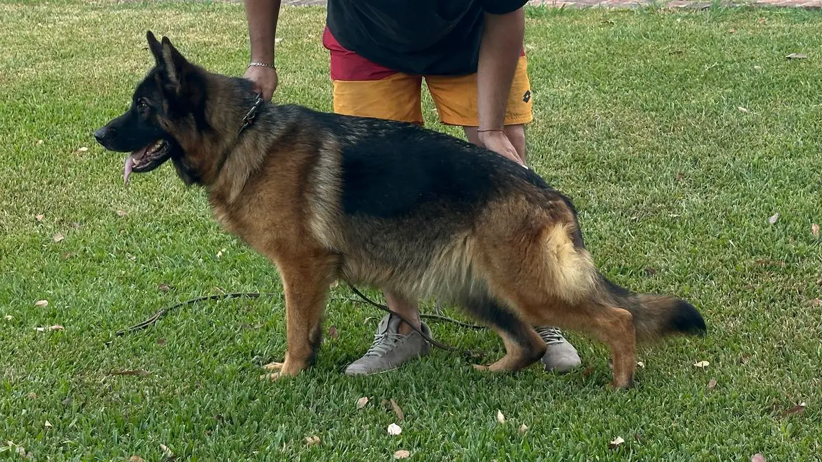 foto de Emma tankgraben