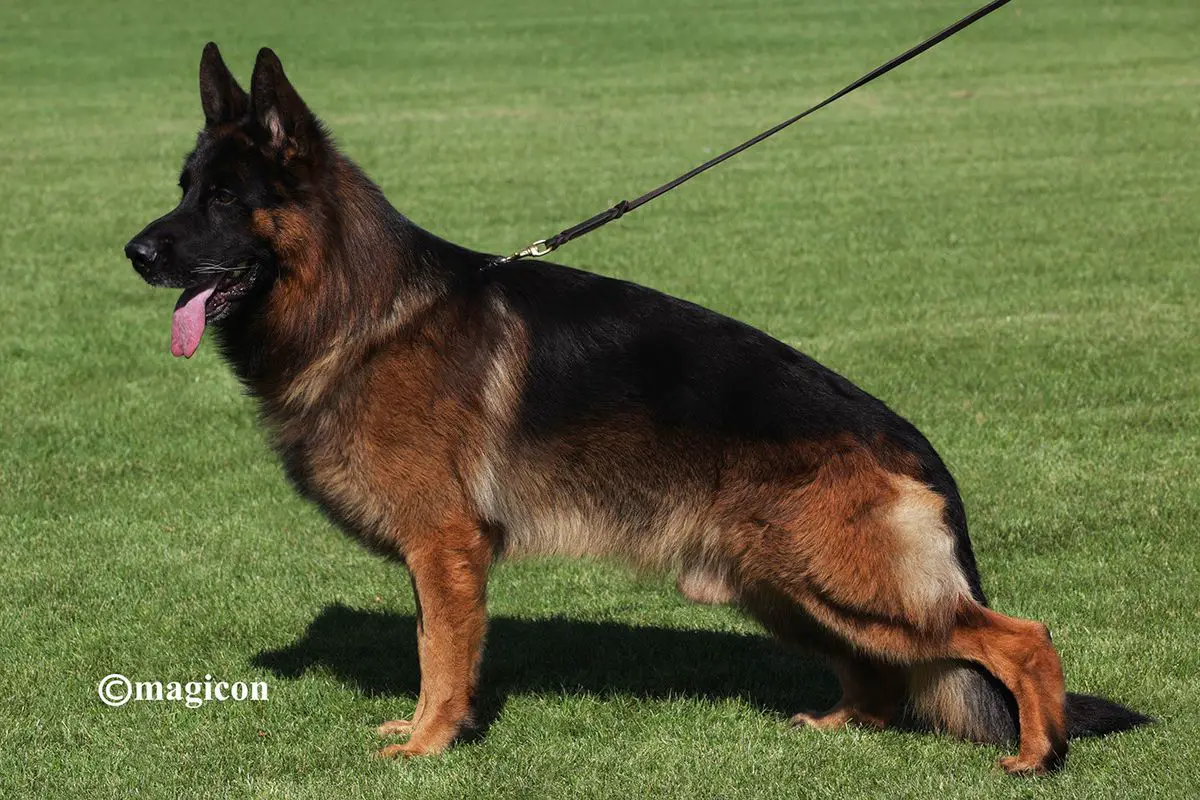 Henko Holtkamper Hof