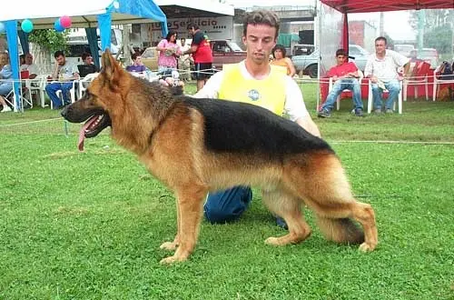 yusko yusko