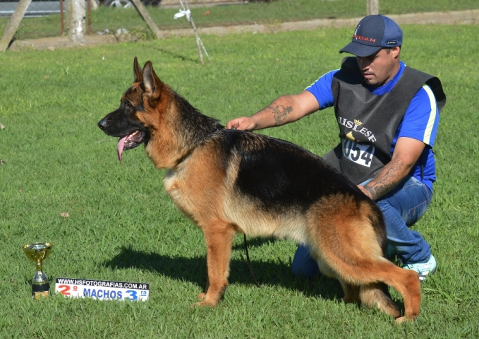 Keijo de la fama, Hijo de Irok brut der Hexe