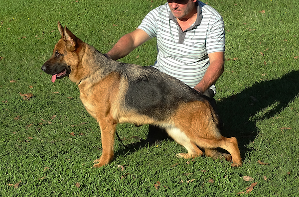 Honna de la fama Honna de la fama, hija de Febo y joy vierhunder hertz