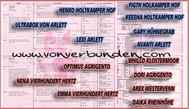 pedigree de Emma von Tankgraben